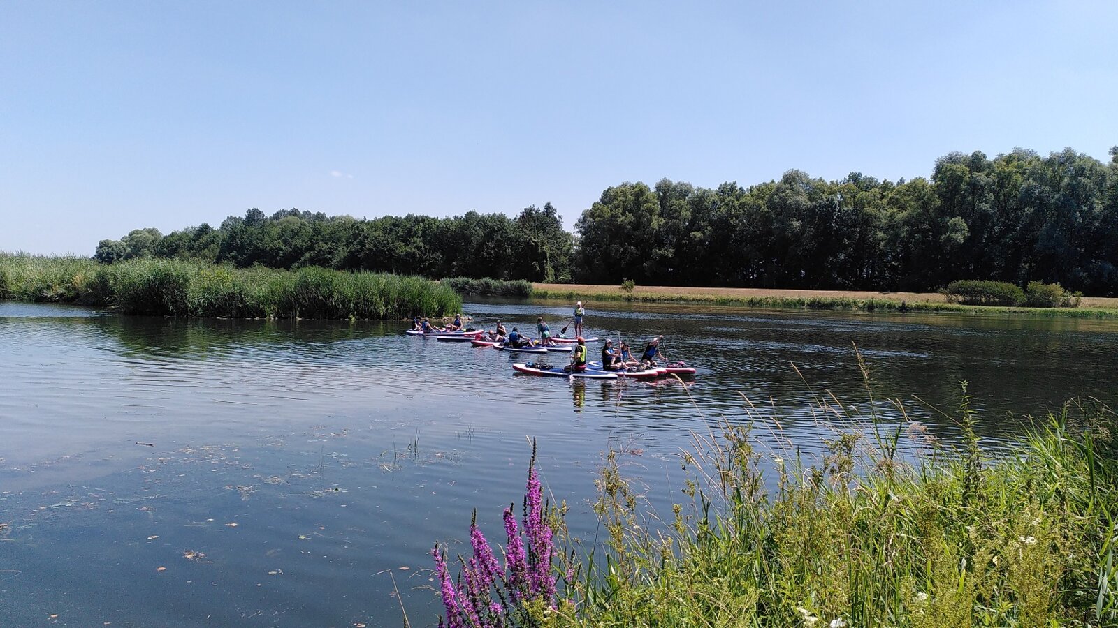 Bei den Wassertagen fahren mehrere Kinder auf einem See mit SUPs