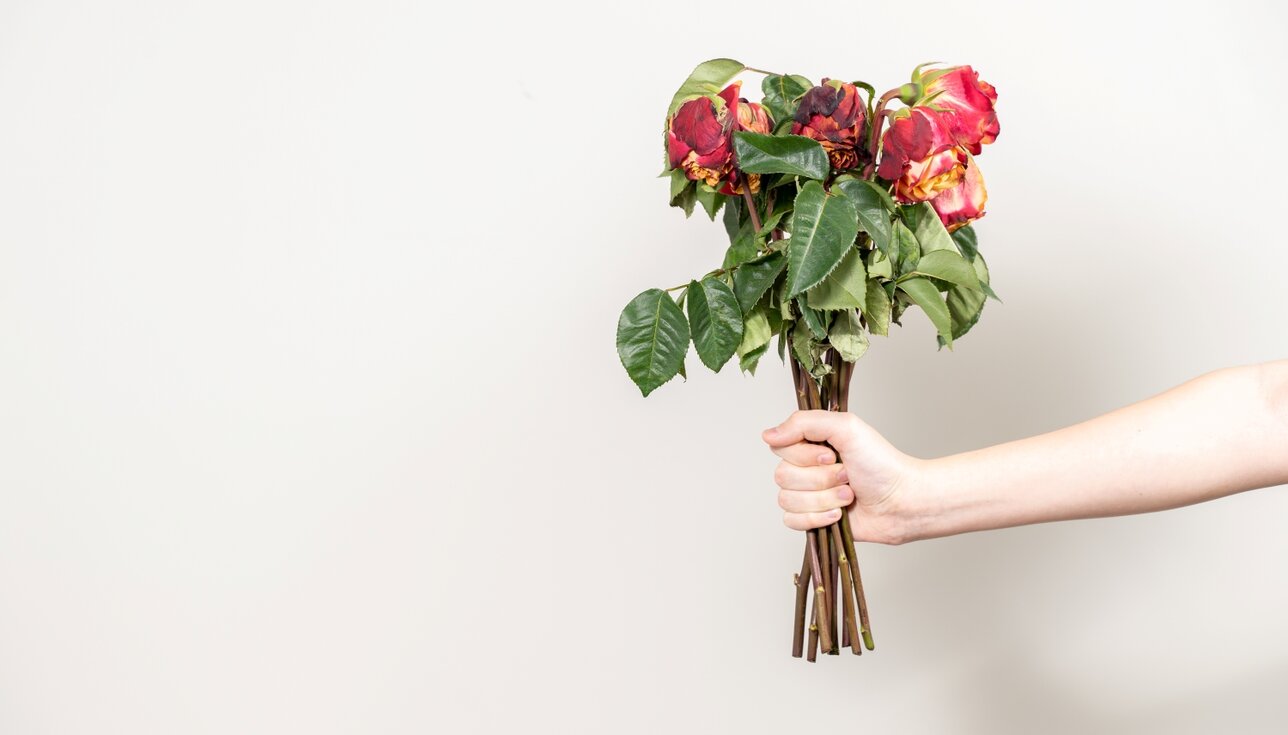 Internationaler Frauentag 2026: Warum braucht es immer noch Gleichberechtigung?