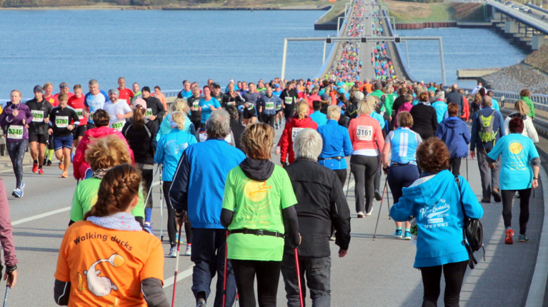 Sparkassen Rügenbrücken-Marathon 2024: Letzte Chance zur Anmeldung